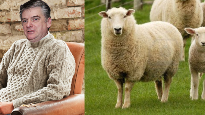 LACK OF SHEEP AROUND CÚIL-AODHA LINKED TO PEADAR O'RIADA'S ARAN JUMPER COLLECTION