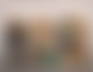 TG4 PUT BRENDAN GLEESON INTO STORAGE UNTIL NEXT YEAR'S GRADAM CEOIL AWARDS