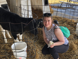 Cook's Dairy Farm
