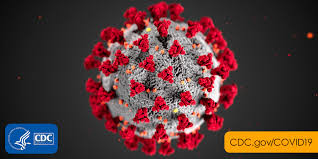 Coronavirus Affects Groves Community