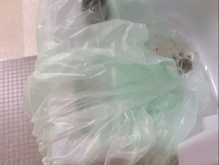 High Levels of Water Contaminants Threaten Student and Staff Safety as They Return to Buildings