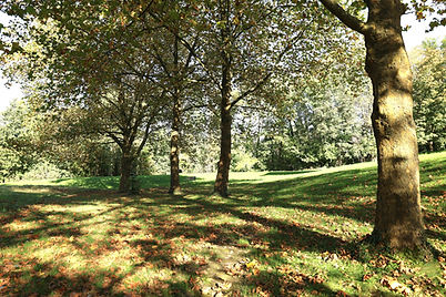 La Clairière de Fayenbois