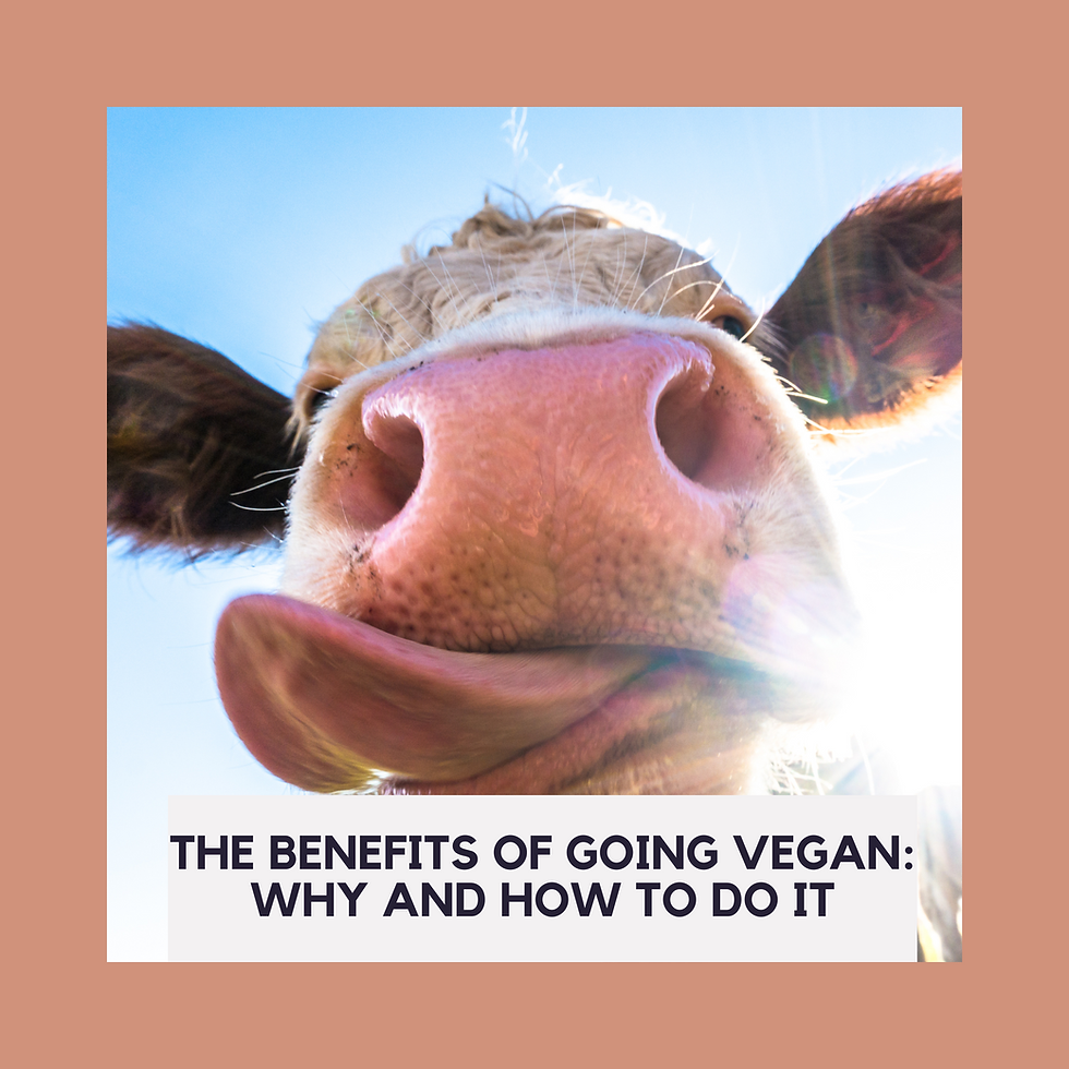 The Benefits of Going Vegan Why and How to Do It!