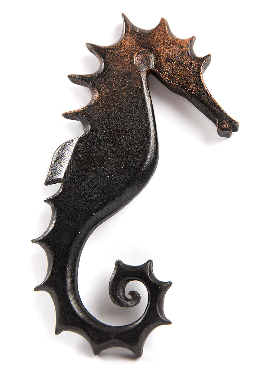 Miniature : Hippocampe n°1