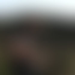 Coureur ibex dans la montagne