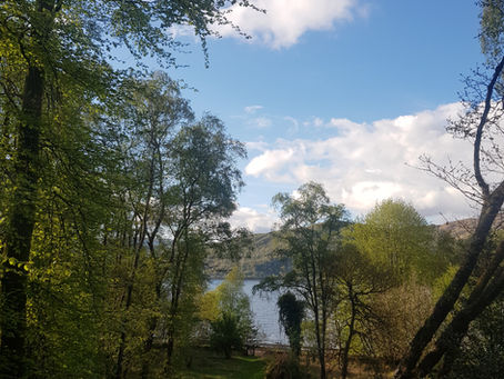 ✨🧭Nature as Your Compass: Finding Yourself Again 🧭✨