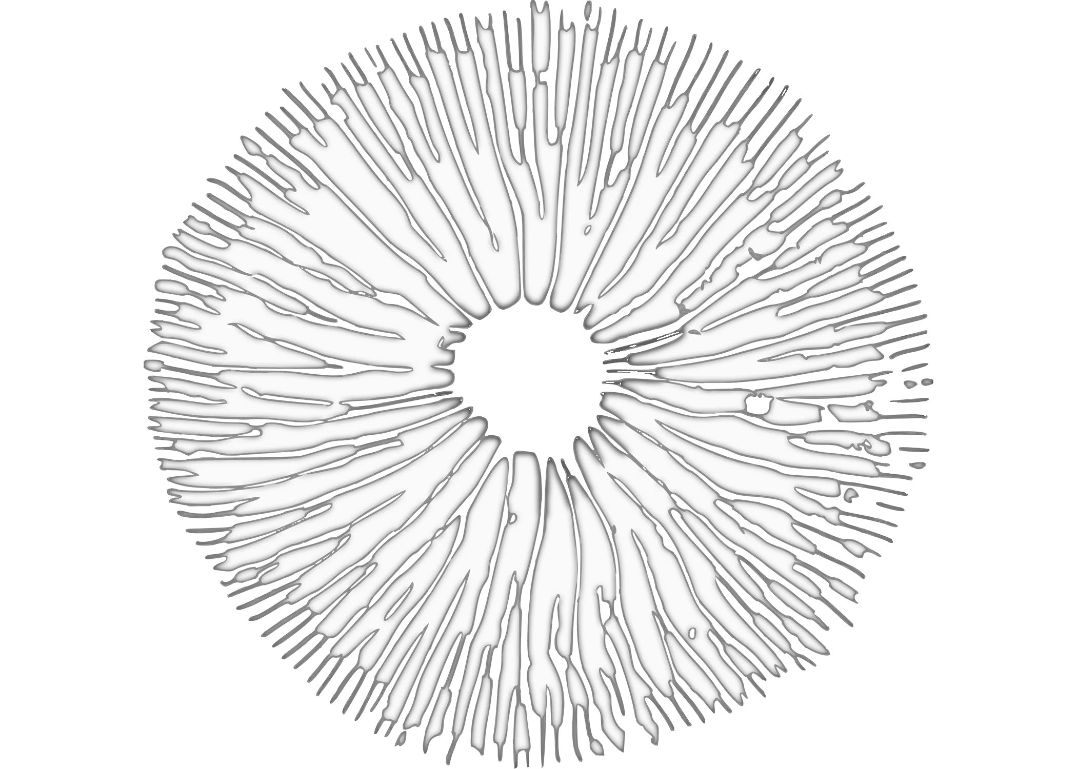 White_Spore_Print.webp