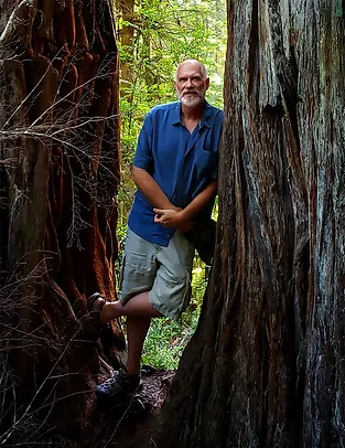 steve_elfrink_psychedelic therapy.webp