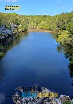 South Andros Blue hole