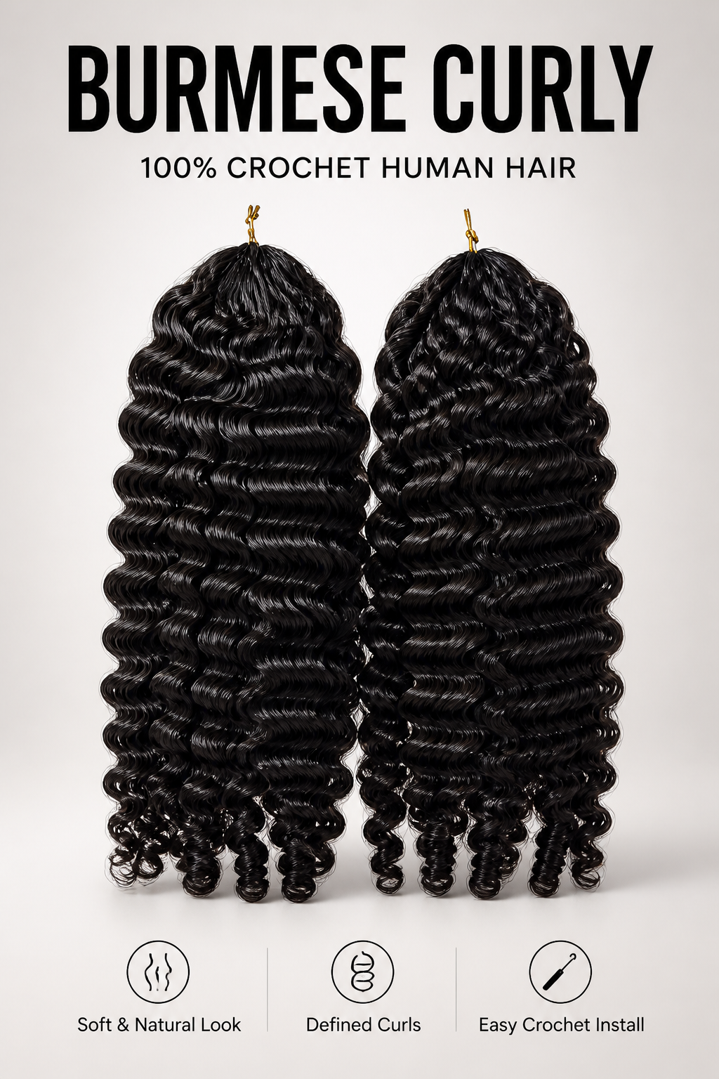 Burmese Curly
