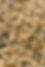 JAC00041.jpg