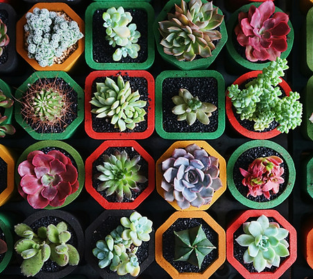 671895408_1367317395425752_8325040936902316436_n.jpg__nc_cat=106&ccb=1-7&_nc_sid=7e0d18&_n