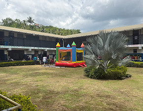 IMG_3246.jpeg