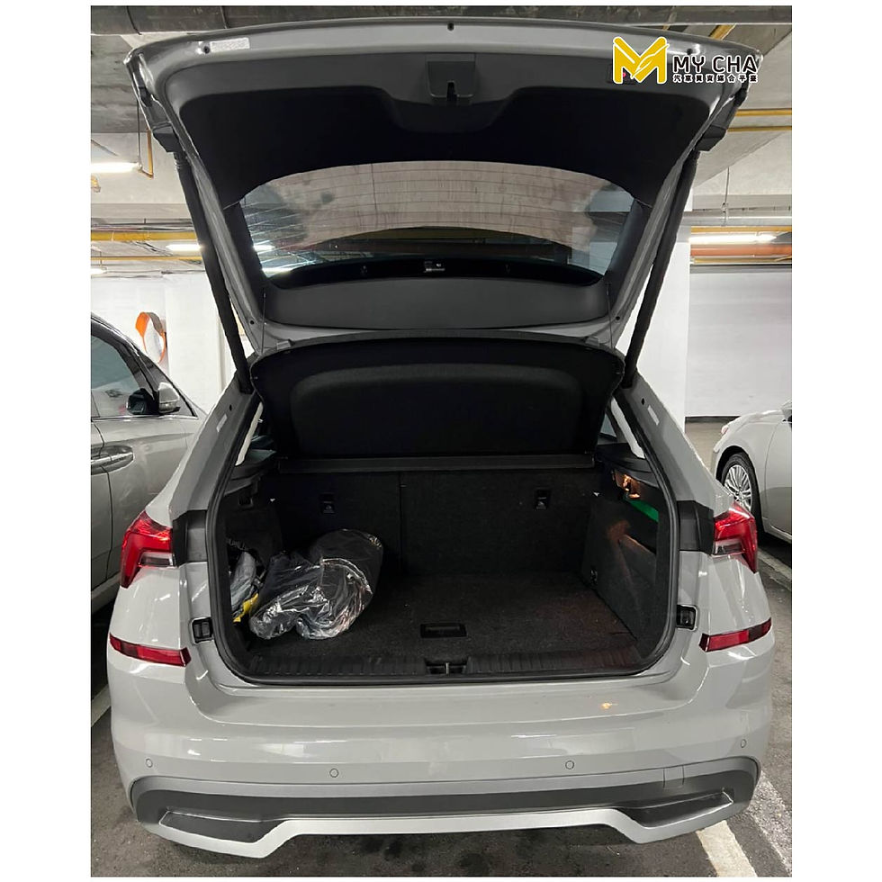 縮圖：【已收訂】2021 Skoda Kamiq