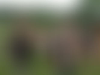 Pertemuan Keenam - Volunteers Journey