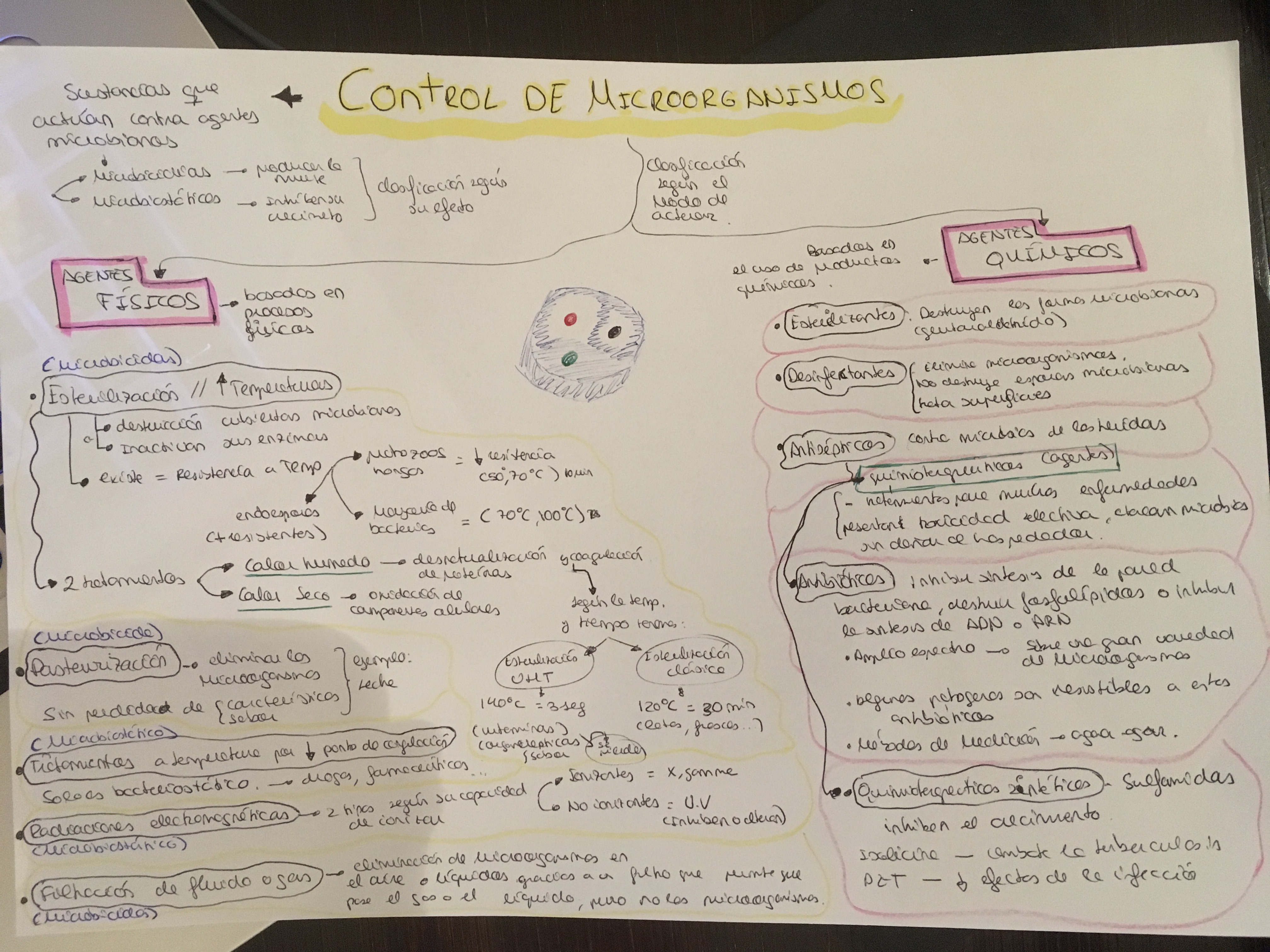 dieta metabolismo acelerado libro se explica