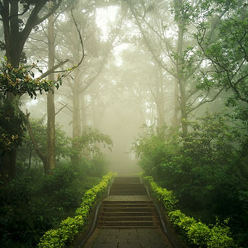 sebin-thomas-OdBFUurPHjo-unsplash (1).jpg