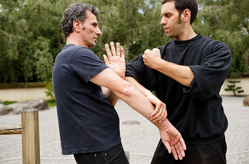 Ecole Wing Chun Toulouse.jpg