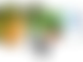 Alimentação saudável e atividade física