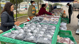 7ª Feira do Feijão Orgânico acontece nesta quarta no palanque