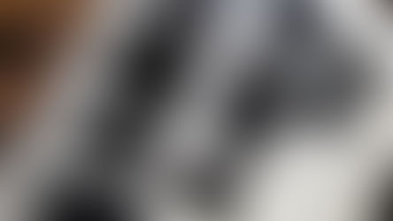 Ação da polícia de Piratini cumpre mandado por crimes virtuais