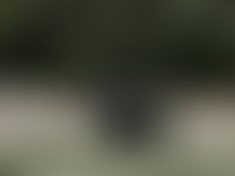 The Wonderfully Witchy Wedding