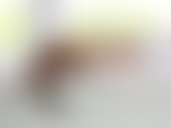 How to Check Windows for Broken Sills and the Importance of Timely Repair