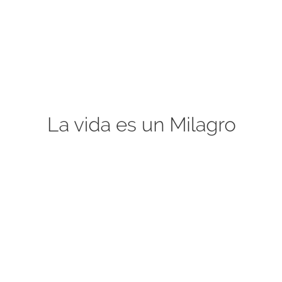 lavidaesunmilagro-default-2