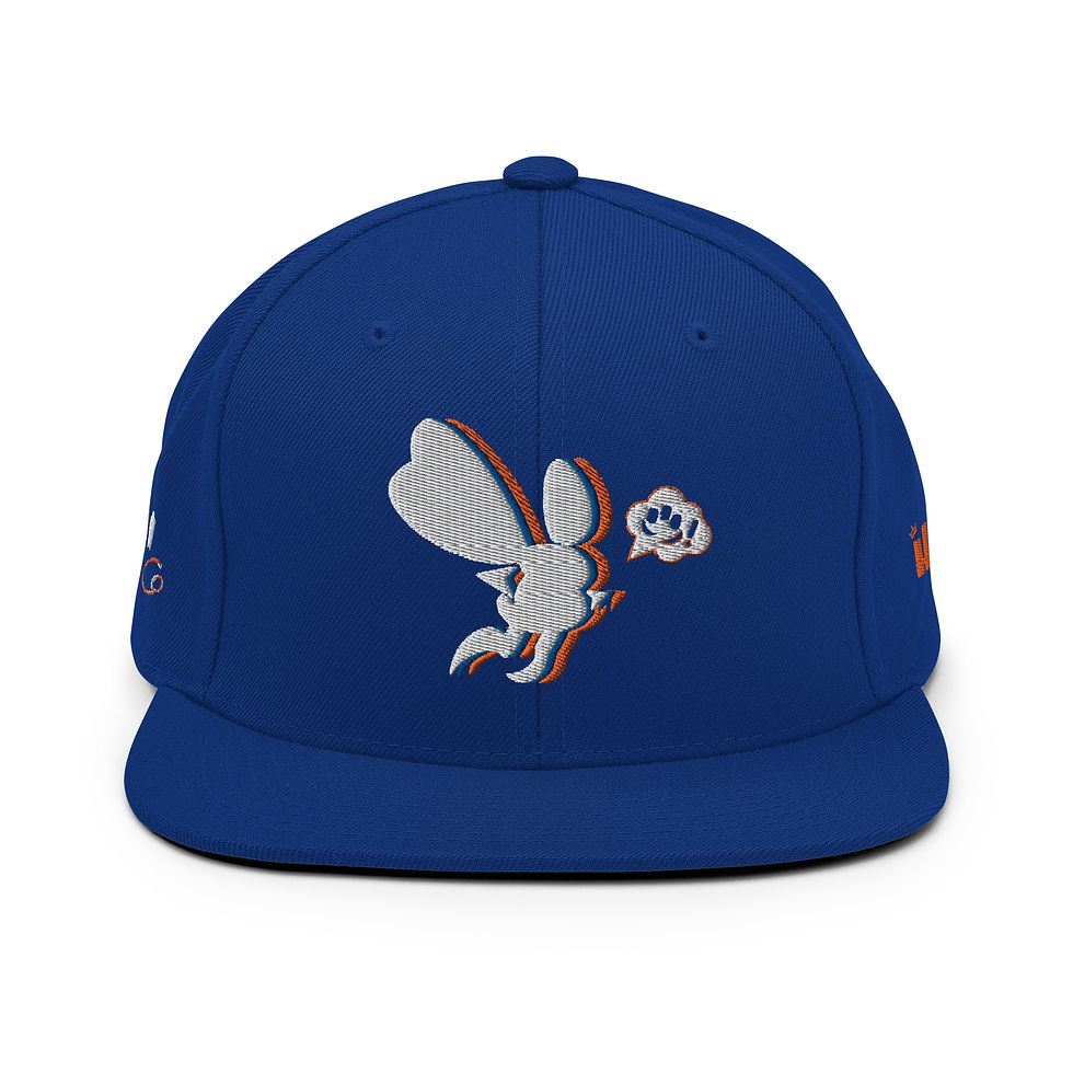 Thumbnail: B. Fly Snapback Hat
