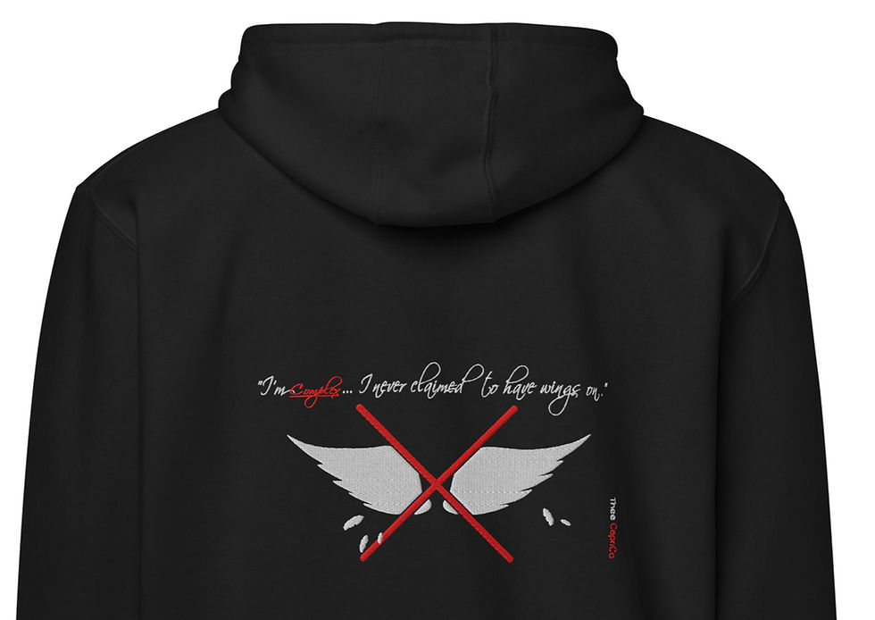 Thumbnail: Fly saints X sinners (zip hoodie)