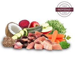 raw dog food