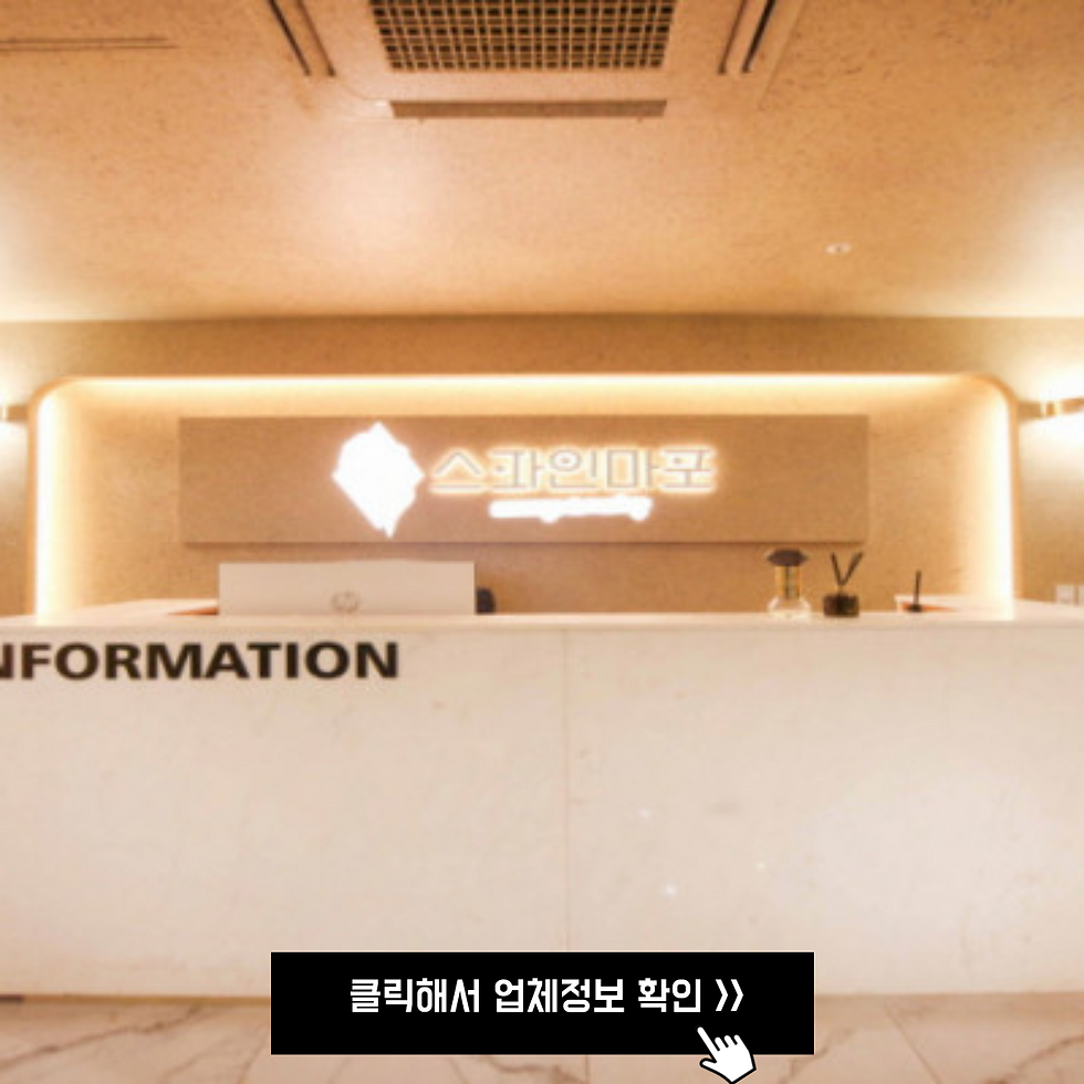 마포 스파인마포의 인포메이션 모습,