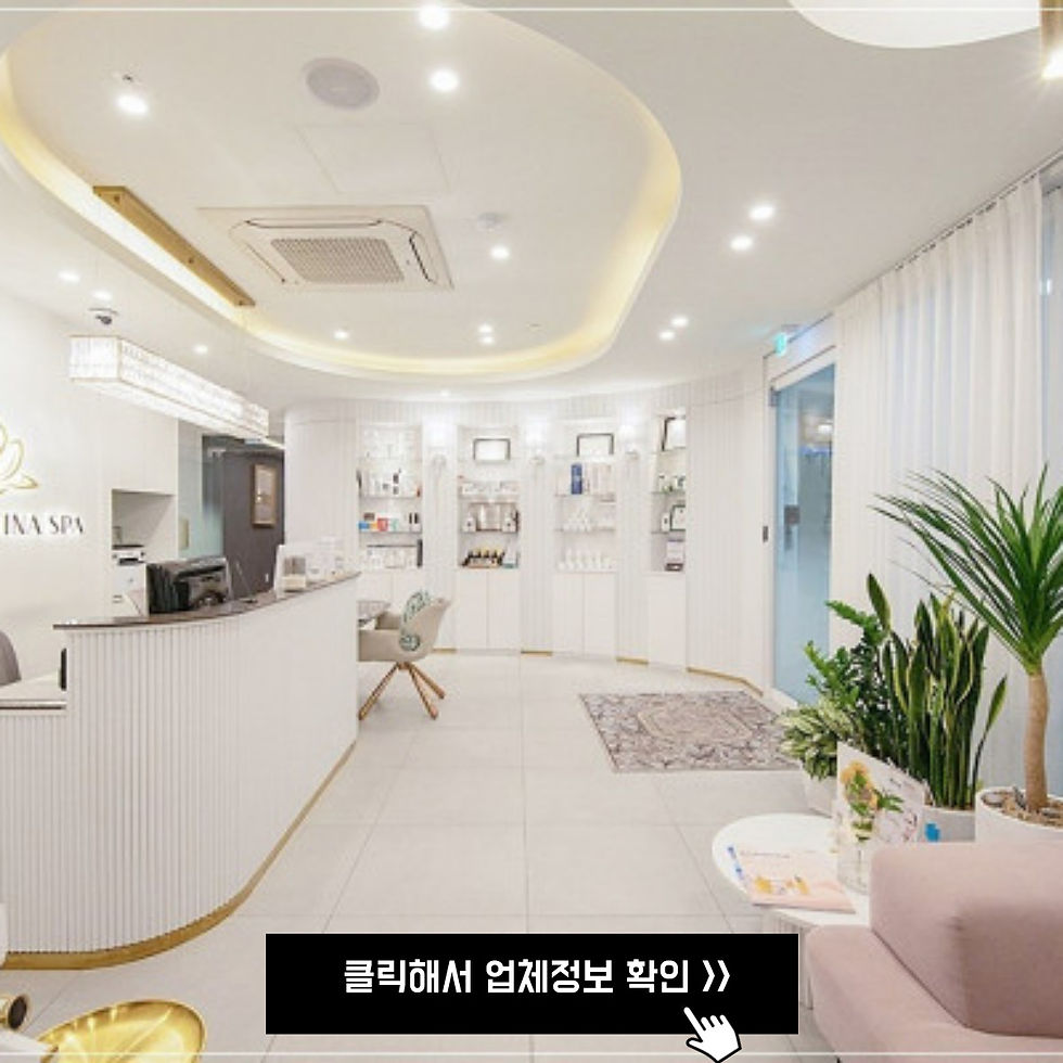 분당 서현동 더베스티나스파 인포메이션모습, 깔끔한 화이트톤에 파스텔 색상의 가구 및 쇼파, 공기정화 식물들이 보인다.