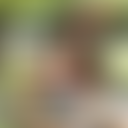 강남 신사동마사지, 1인샵 신비 후기