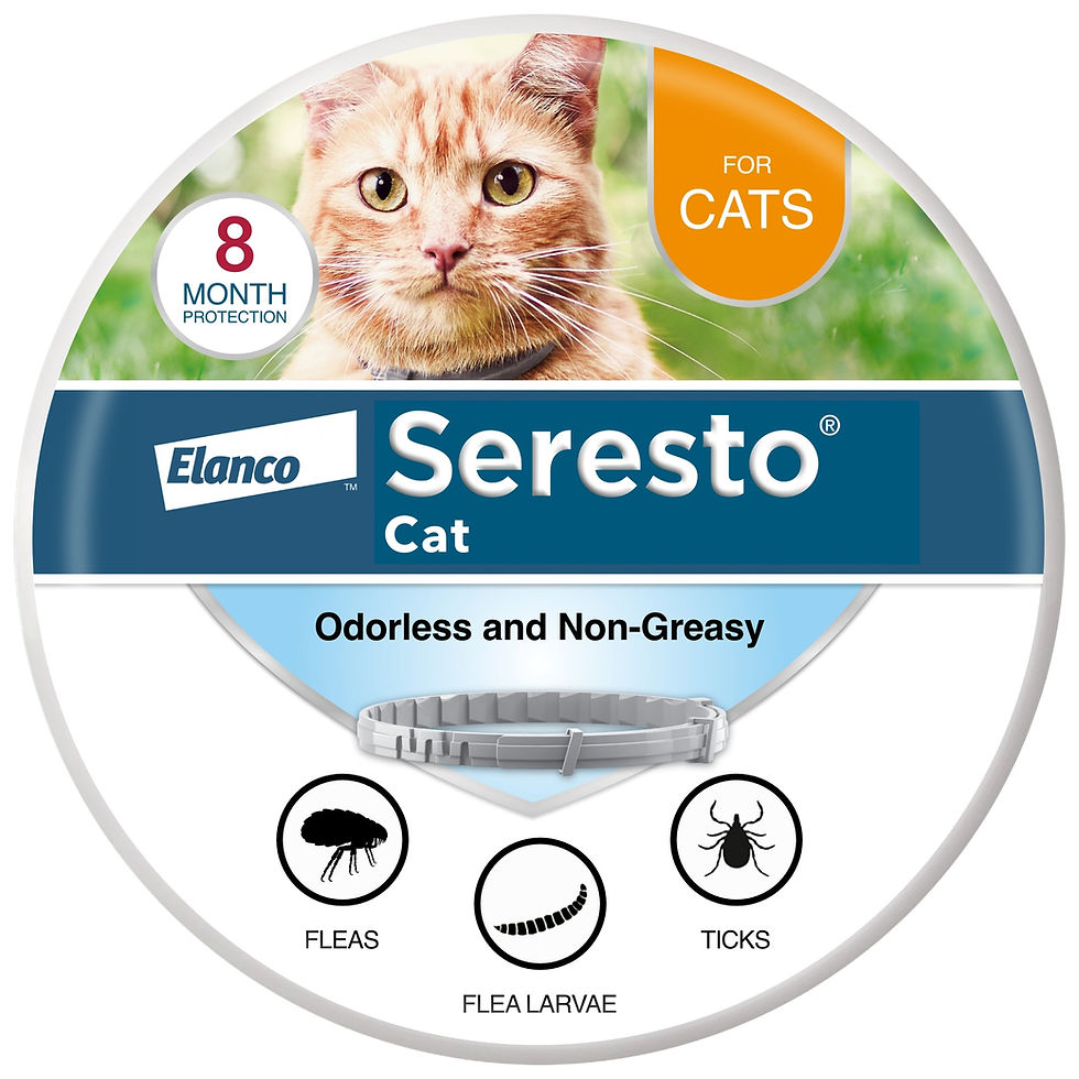 Seresto Cat Vet-Recommended Flea & Tick Treatment & Prevention Collar for Cats…