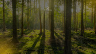 Who is Impacted by the European Union Deforestation Regulation (EUDR)