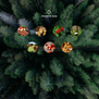 What is EUDR: The EU Deforestation Regulation 