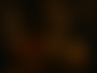 Zaduszki: między światłem zniczy a ciszą modlitwy