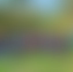 Spotkanie z tradycją - Wiosna z Familiaris! Marzanna w wodzie, placki na patelni i las pełen radości.