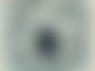 Człowiek w świecie podatków