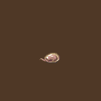 placenta mexendo 1-export.gif