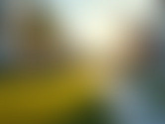 Navigating Local Real Estate Trends with doubleErealty