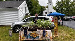 a plant sale
