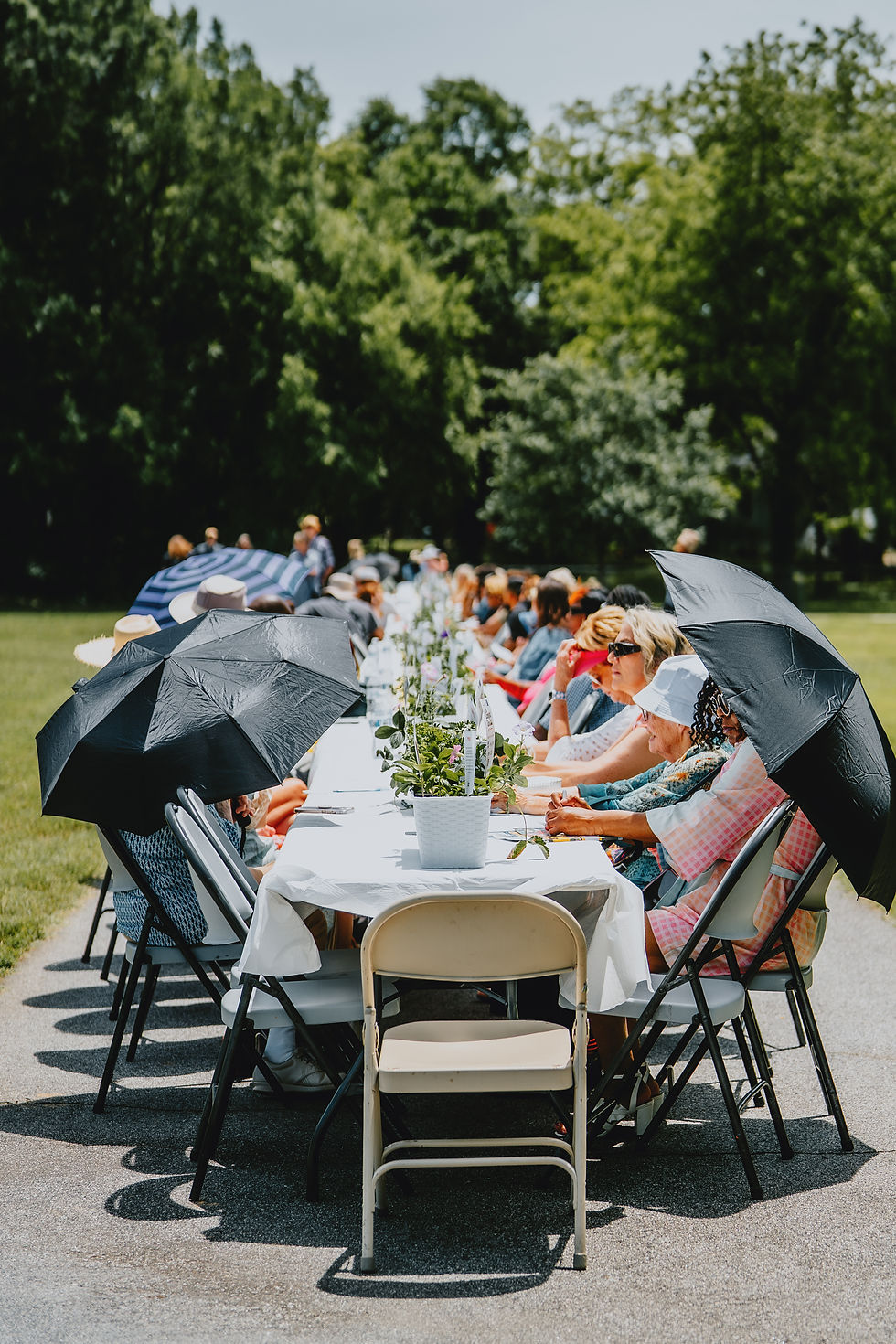 The Longest Table