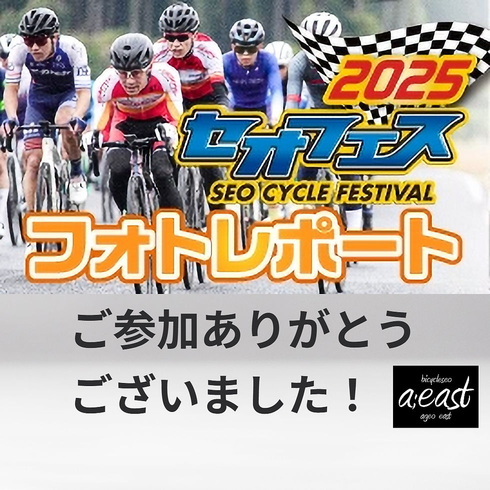 2025 セオフェスフォトレポート公開