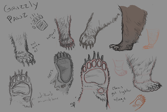 bearpaw_practice.png