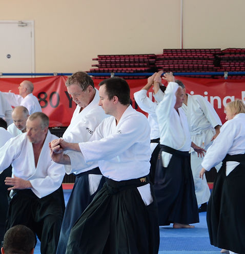 BAF Aikido