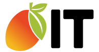 Mango IT Managed Service Provider Computer Repair Data Security