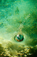 _MG_4823 S_edited.jpg