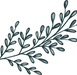 Plant6_edited.png